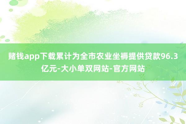 赌钱app下载累计为全市农业坐褥提供贷款96.3亿元-大小单双网站-官方网站