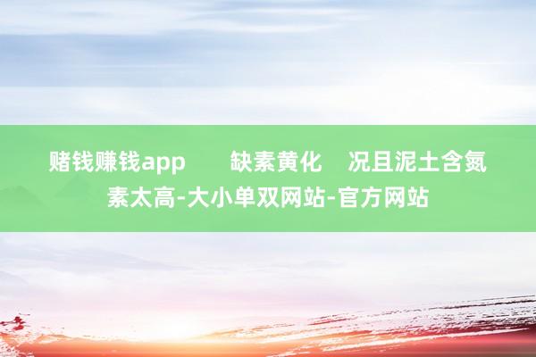 赌钱赚钱app       缺素黄化    况且泥土含氮素太高-大小单双网站-官方网站