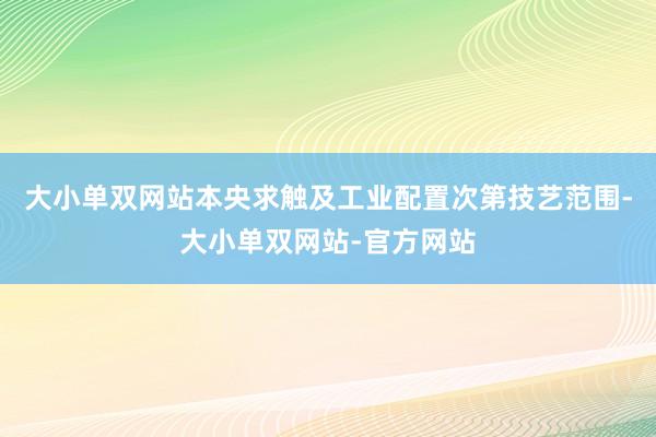 大小单双网站本央求触及工业配置次第技艺范围-大小单双网站-官方网站