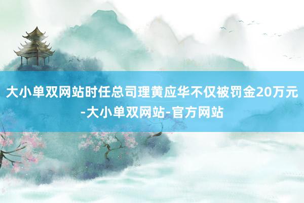 大小单双网站时任总司理黄应华不仅被罚金20万元-大小单双网站-官方网站