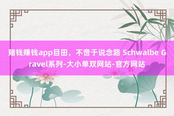 赌钱赚钱app目田，不啻于说念路 Schwalbe Gravel系列-大小单双网站-官方网站