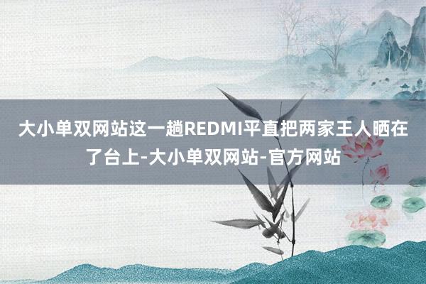 大小单双网站这一趟REDMI平直把两家王人晒在了台上-大小单双网站-官方网站