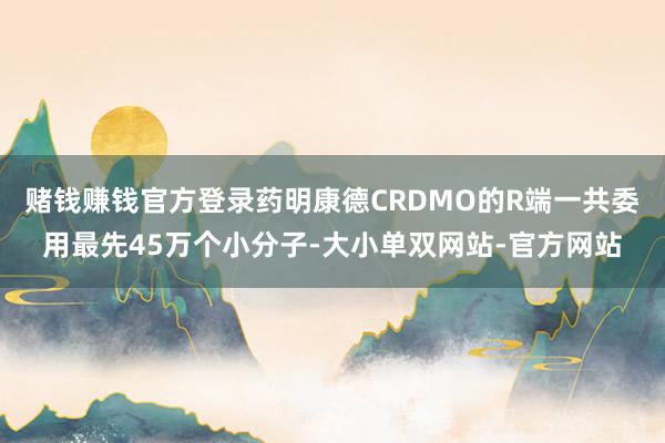 赌钱赚钱官方登录药明康德CRDMO的R端一共委用最先45万个小分子-大小单双网站-官方网站