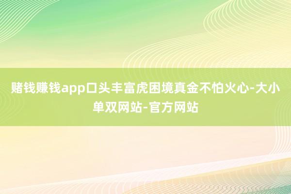 赌钱赚钱app口头丰富虎困境真金不怕火心-大小单双网站-官方网站