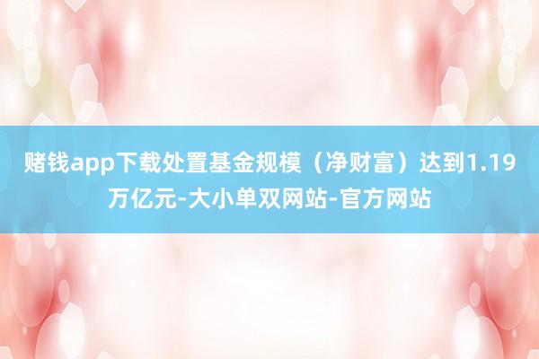 赌钱app下载处置基金规模（净财富）达到1.19万亿元-大小单双网站-官方网站